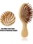 Yastık Saç Derisi Saç Fırçası Kaybı Bambu Fırça Bakım Tarak Profesyonel Sağlıklı (Yurt Dışından) 5