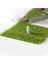 Micro Moss Peyzaj Suni Çim Aksesuarları Akvaryum Yapay Çim (Yurt Dışından) 4