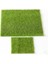 Micro Moss Peyzaj Suni Çim Aksesuarları Akvaryum Yapay Çim (Yurt Dışından) 5