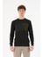 Bisiklet Yaka Regular Fit Erkek Kazak 1