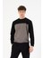 Sweatshirt 1