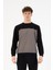 Sweatshirt 2