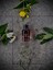 FAMAK | FM 147 | 100 ml 5