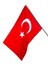 Türk Bayrağı 20X30 cm Alpaka Kumaş - Sopalı 1