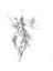 117800 - Aquarellbleistift Grafit Sulu Boya, Sertlik Derecesi Hb 4b 3