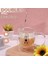 Home 2 Adet Ayıcık Tasarımlı Çift Cidarlı Cam Kupa, Borosilikat Termisil Cam, Isıya Dayanıklı Eğlenceli Şeffaf Bardak, 250 ml, Soğuk ve Sıcak Içeceklere Uygun Kulplu 2