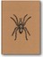 Color Kraft Defter Düz Örümcek 1