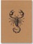 Color Kraft Defter Düz Akrep 1