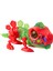 Nessiworld Silverlit Biopod Zombies Dinazor Robot 88695 1