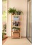 Concept 4 Raflı Organizer Mutfak Dolabı Kitaplık Banyo Balkon Ofis Düzenleyici Ahşap Nature 2