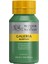 Galeria Akrilik Boya 500ML - Permanent Green Middle 484 1