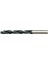 Kalıpçı Matkap Ucu Sds 12X600 1
