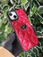 IPHONE 13 / 14 Uyumlu Kabartma Markalı Kılıf 1