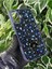 IPHONE 16 Uyumlu Lüx Taşlı Kılıf 1