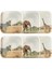 Concept Wild Kare Tabak Seti 22 cm 6'lı 1