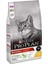 Tavuklu ve Pirinçli Yetişkin Kedi Maması 1 kg (Açık) 1