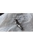 Boru Bağlantı Parçaları ve Adaptörleri: Jıc/an Erkekten Erkeğe Npt Boru 90° Stainless Dirsek Uzun SS-2501-06-04 3/8 Jıc Male x ¼ Nptf Male 90’’ Discount Hydraulıc Hose 1 Adet 3