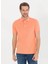 Slim Fit Polo Yaka Basic Tişört 1