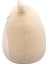 Kurbağa Dewitt 30 cm SQCR06687 3