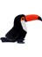 Tukan Kuşu 35 cm Peluş Oyuncak 4