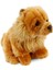 Chow Chow (Çin Aslanı) 28 cm 5