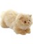 Yatan Bej Kedi Peluş Oyuncak 26 cm 2