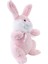 Tavşan Peluş Oyuncak 60 cm 4