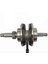 Cg Krank 15 Perno 1