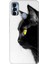 Spark 7 Pro Kılıf Renkli SPARK7PRO Silikon Kedi Bakışı 1