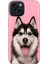 iPhone 15 Uyumlu Kılıf Desenli Kapak Renkli Tpu Uv Hasky 1