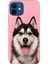 Apple iPhone 12 Kılıf Renkli Baskılı Silikon Hasky 1
