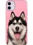 Apple iPhone 11 Kılıf Renkli Temalı iPhone 11 Silikon Hasky 1