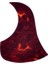 Gitar Pena Korumalığı PG165YR Pick Guard 4