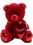 62501 Parlak Kalpli Peluş Ayı 40 cm 5