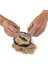 NAT06002 National Geographic Dino Kazı Kiti - Rtngdıno2 +8 Yaş 2