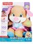 FPP83 Fisher-Price® Yaşa Göre Gelişim Eğtici Köpekçiğin Kız Kardeşi / Türkçe / Eğlen ve Öğre 1
