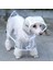 Köpek Yağmurluğu -Sarı - (Small) 2