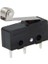 OEM IC-169 Micro Switch Iğne Bacak Makaralı 1