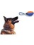 Köpek Diş Kaşıma Oyun Topu 2