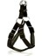 Köpek Göğüs Tasması 35cm x Small 1
