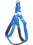Köpek Bel Tasması 95cm Xx-Large Mavi 2