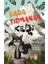 Dağa Tırmanan Kedi 1
