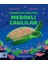 Karanlıkta Parlayan Meraklı Canlılar 1
