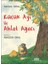 Küçük Ayı ile Ahlat Ağacı 1