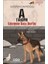 Iz Sürücü Köpekler 3 - Cılızım In Başı Dertte 1
