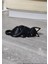 Ahşap Kedi Anahtarlık T5746769 2