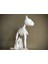 Kedi Iskeleti T6276243 2
