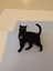 Kedi Anahtarlık T2504685 3