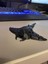 Manta Ray - Li Figür Anahtarlık P824405 1