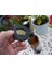 Openr/c Şişe Açacağı T1716668 1